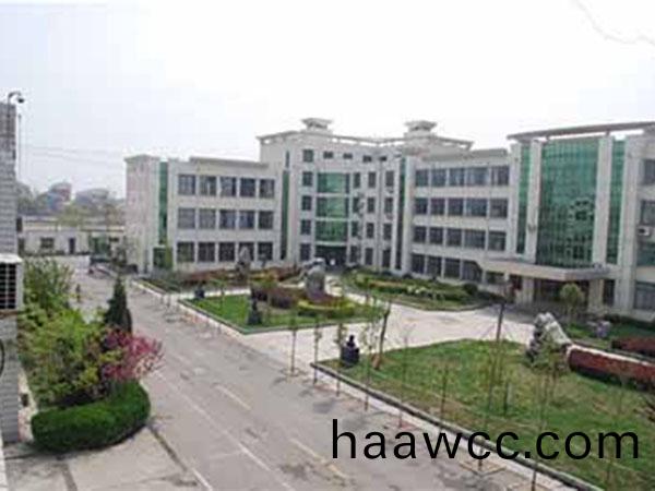 魚檯(tai)新一(yi)中